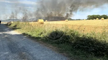 Incendie à Bouloire - Sarthe - 7 juillet 2026 - Feux de forêts et d'espaces naturels