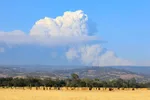 États-Unis - Incendie de France Canyon : près de 1 900 hectares ravagés dans la Dixie National Forest