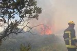 Narbonne : 2 000 hectares déjà ravagés, l'incendie reste actif
