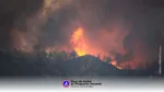 Triste record : plus d’un million d’hectares ravagés en Europe depuis le début de l'année