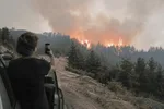 Témoin d'un départ de feu de forêt : que faire dans les 5 premières minutes ?