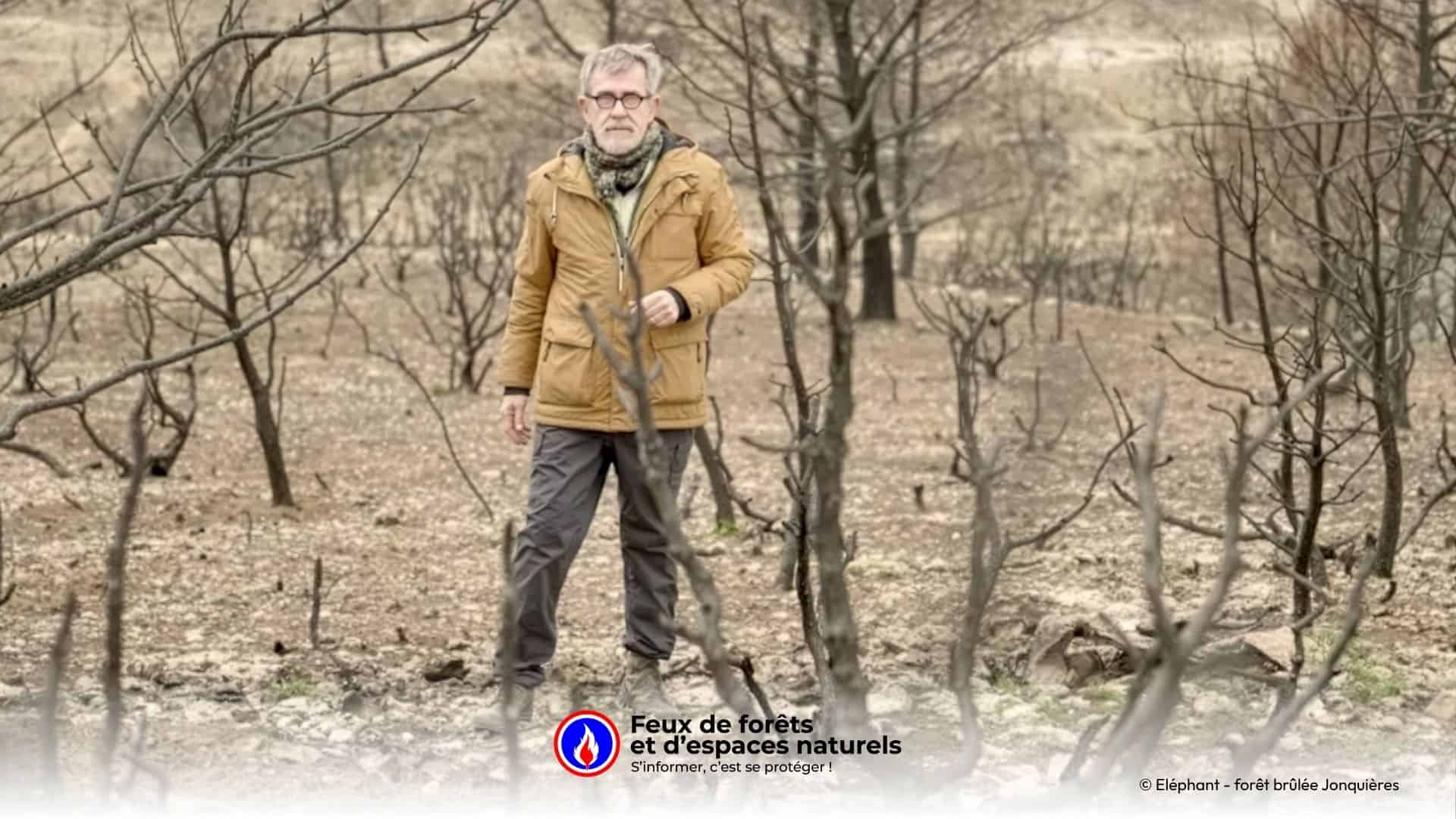 « Des feux extrêmes en France : sommes-nous prêts ? » – Le documentaire ...