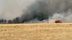 Comprendre les feux de forêt en France : enjeux, risques et gestion des incendies