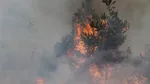 Décès d'un pompier volontaire de 22 ans lors d'un feu de forêt