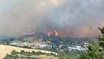 Feu dans le Tarn : 600 hectares brûlés, l'incendie désormais fixé