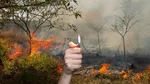 Gard: four people under investigation following a series of wildfires