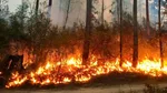 Gironde : l'incendie menace la métropole bordelaise, 19 000 hectares brûlés