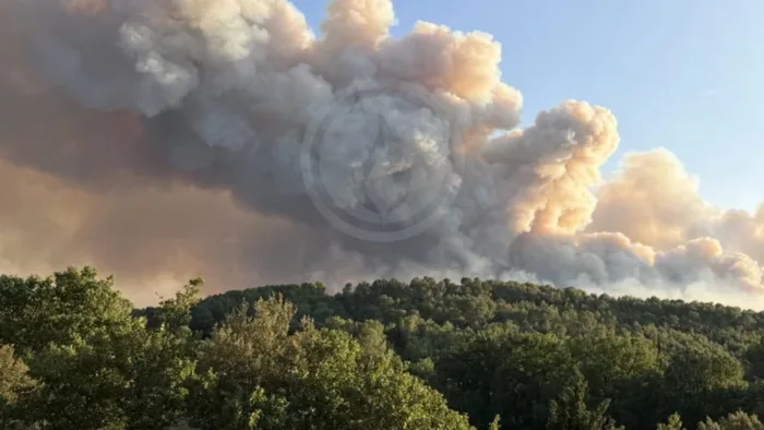 Incendie dans le Var : plus de 2 550 hectares parcourus, 1 200 pompiers mobilisés