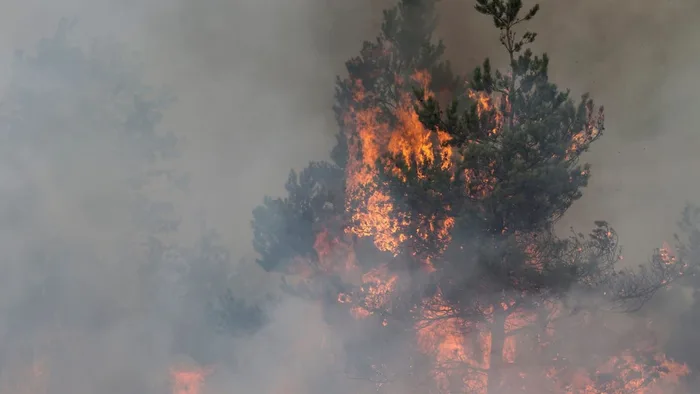 Incendie dans les Landes : réactivation du feu dans le nuit, 1 580 hectares brûlés