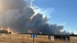 Incendie en Seine-et-Marne : l'A6 coupée, la forêt de Fontainebleau menacée