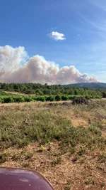 Plusieurs feux de forêt actifs dans le Sud de la France : l'Aude, l'Hérault et le Var en alerte