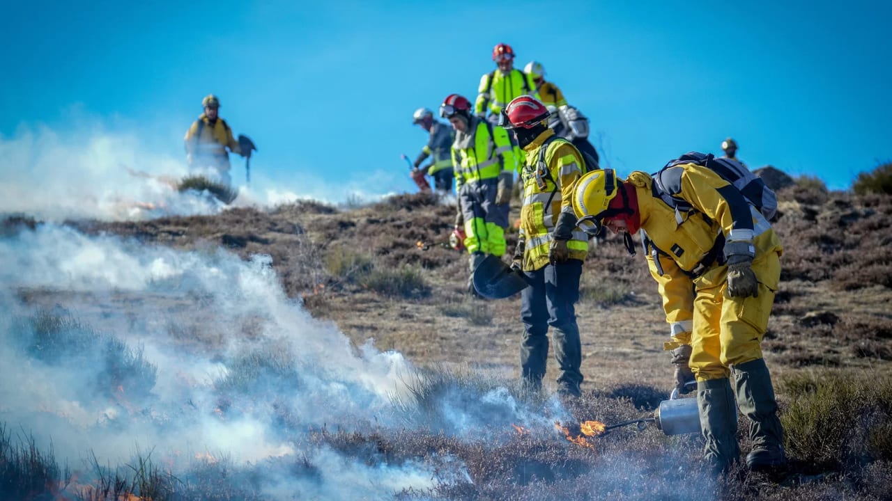 Sapeur-pompier formé au feu tactique procédant à un allumage à la torche le long d’une piste forestière