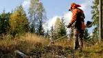 Débroussaillement obligatoire en France : ce que dit la loi