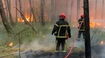 Feux de forêt : comprendre les stratégies d'attaque et de défense des pompiers
