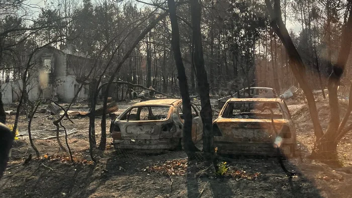 Incendies de forêt en France : un bilan financier record de 500 millions d'euros pour les assureurs