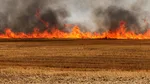 Trois morts dans un incendie parti d’un champ dans les Deux-Sèvres