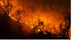 Var : après un mois de combat, l'incendie historique du Gros Bessillon est enfin éteint