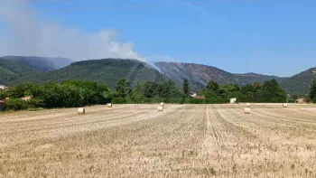 Incendie à Saint-Georges-les-Bains - Ardèche - 7 juillet 2026 - Feux de forêts et d'espaces naturels