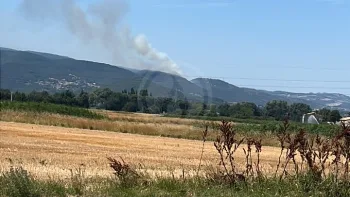 Incendie à Saint-Georges-les-Bains - Ardèche - 7 juillet 2026 - Feux de forêts et d'espaces naturels