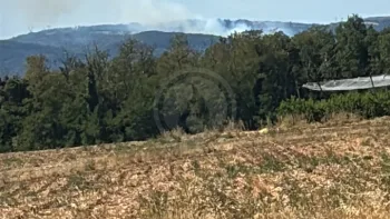 Incendie à Charmes-sur-Rhône - Ardèche - 7 juillet 2026 - Feux de forêts et d'espaces naturels