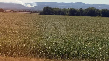 Incendie à Charmes-sur-Rhône - Ardèche - 7 juillet 2026 - Feux de forêts et d'espaces naturels