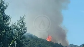 Incendie à Saint-Georges-les-Bains - Ardèche - 7 juillet 2026 - Feux de forêts et d'espaces naturels