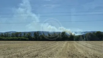 Incendie à Charmes-sur-Rhône - Ardèche - 7 juillet 2026 - Feux de forêts et d'espaces naturels