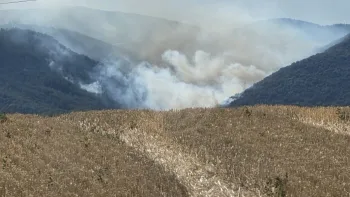 Incendie à Charmes-sur-Rhône - Ardèche - 7 juillet 2026 - Feux de forêts et d'espaces naturels