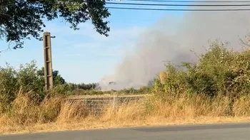 Incendie à Pompaire - Deux-Sèvres - 7 juillet 2026 - Feux de forêts et d'espaces naturels
