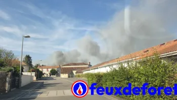 Incendie à Pompaire - Deux-Sèvres - 7 juillet 2026 - Feux de forêts et d'espaces naturels
