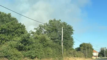 Incendie à Pompaire - Deux-Sèvres - 7 juillet 2026 - Feux de forêts et d'espaces naturels