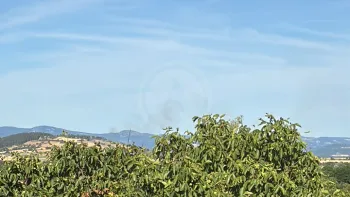 Incendie à Saint-Christophe-sur-Dolaizon - Haute-Loire - 7 juillet 2026 - Feux de forêts et d'espaces naturels