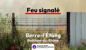 Incendie à Berre-l'Étang (13) : le feu est éteint