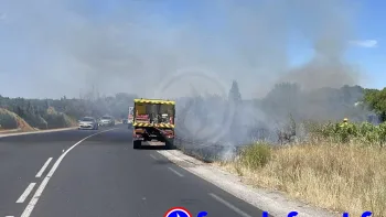 Incendie à Saint-Jean-de-Védas - Hérault - 8 juillet 2026 - Feux de forêts et d'espaces naturels
