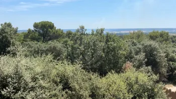 Incendie à Garrigues-Sainte-Eulalie - Gard - 8 juillet 2026 - Feux de forêts et d'espaces naturels
