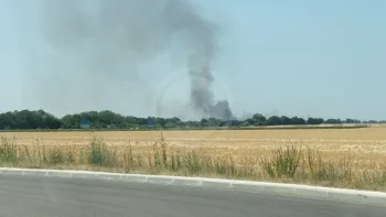 Incendie à Le Mée-sur-Seine - Seine-et-Marne - 8 juillet 2026 - Feux de forêts et d'espaces naturels