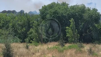 Incendie à Montpellier - Hérault - 8 juillet 2026 - Feux de forêts et d'espaces naturels