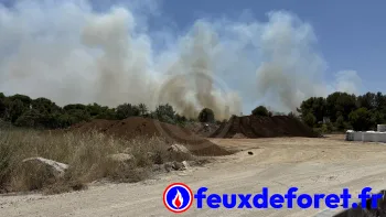 Incendie à Montpellier - Hérault - 8 juillet 2026 - Feux de forêts et d'espaces naturels