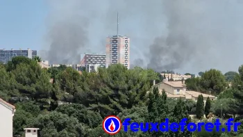 Incendie à Montpellier - Hérault - 8 juillet 2026 - Feux de forêts et d'espaces naturels