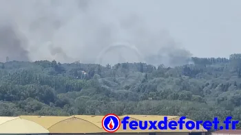 Incendie à Grans - Bouches-du-Rhône - 8 juillet 2026 - Feux de forêts et d'espaces naturels