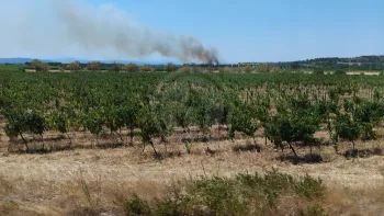 Incendie à Mirepeisset - Aude - 8 juillet 2026 - Feux de forêts et d'espaces naturels