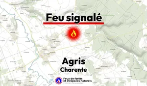 Agris (16)