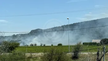 Incendie à Saint-Paul-Trois-Châteaux - Drôme - 8 juillet 2026 - Feux de forêts et d'espaces naturels