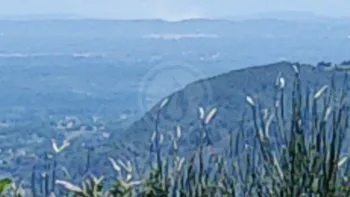 Incendie à Saint-Paul-Trois-Châteaux - Drôme - 8 juillet 2026 - Feux de forêts et d'espaces naturels