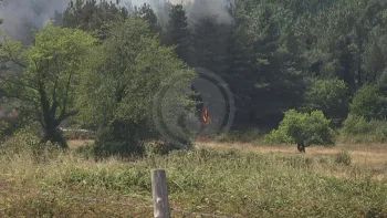 Incendie à Cercoux - Charente-Maritime - 8 juillet 2026 - Feux de forêts et d'espaces naturels