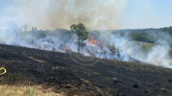 Incendie à Monclar-de-Quercy - Tarn-et-Garonne - 8 juillet 2026 - Feux de forêts et d'espaces naturels