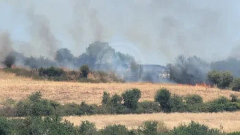 Incendie à Exireuil - Deux-Sèvres - 8 juillet 2026 - Feux de forêts et d'espaces naturels
