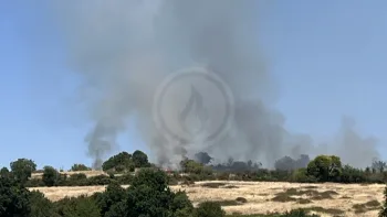 Incendie à Exireuil - Deux-Sèvres - 8 juillet 2026 - Feux de forêts et d'espaces naturels