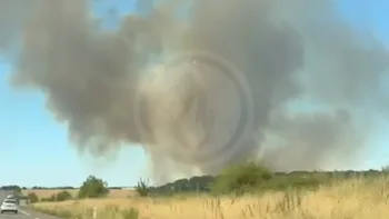 Incendie à La Charité-sur-Loire - Nièvre - 8 juillet 2026 - Feux de forêts et d'espaces naturels