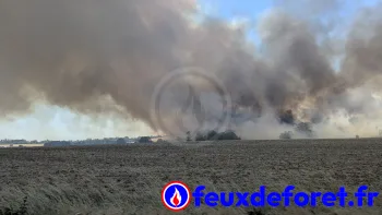 Incendie à La Charité-sur-Loire - Nièvre - 8 juillet 2026 - Feux de forêts et d'espaces naturels